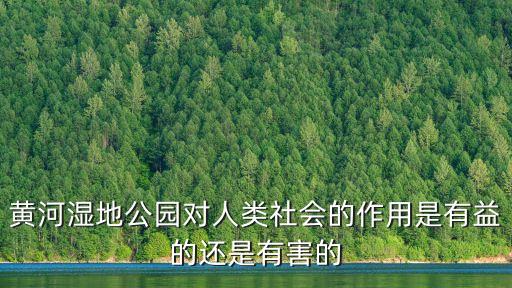 黃河濕地公園對人類社會的作用是有益的還是有害的