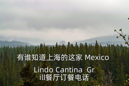 有誰知道上海的這家 Mexico Lindo Cantina  Grill餐廳訂餐電話