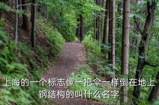 上海的一個標志像一把傘一樣倒在地上鋼結構的叫什么名字