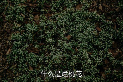 爛桃花，什么是爛桃花