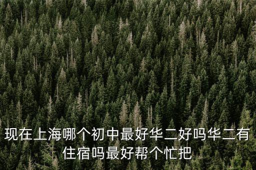 現在上海哪個初中最好華二好嗎華二有住宿嗎最好幫個忙把