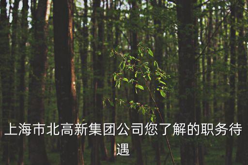 上海市北高新集團和數據港，市北高新是什么股