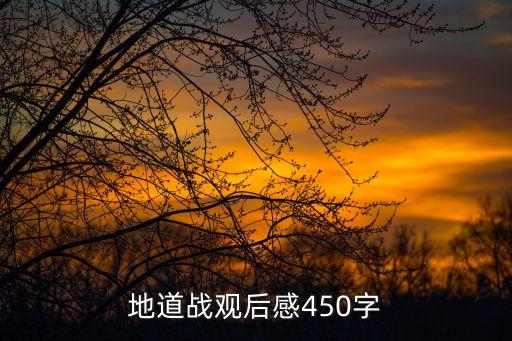 電影地道戰觀后感，電影地道戰觀后感寫出來急死了