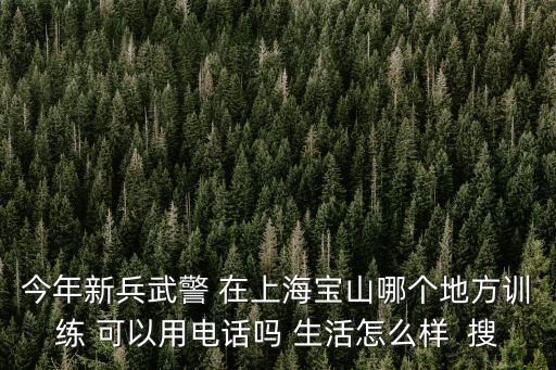 上海市寶山新兵奔赴軍營，上海寶山區水產路附近的新兵營在哪兒