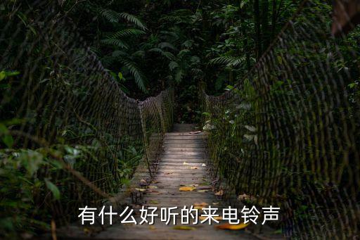 有什么好聽的來電鈴聲