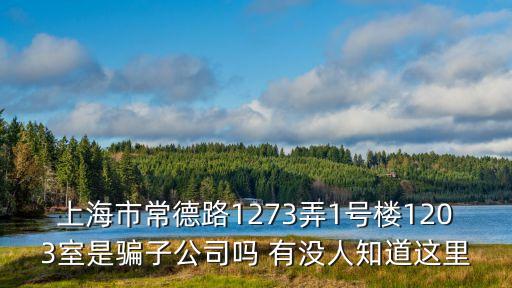 上海市常德路1273弄1號樓1203室是騙子公司嗎 有沒人知道這里