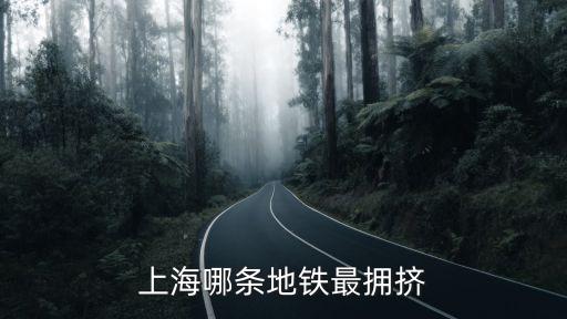 上海哪條地鐵最擁擠