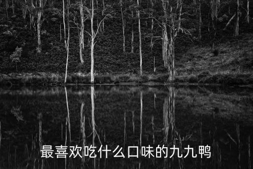 最喜歡吃什么口味的九九鴨