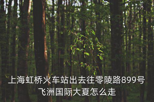 上海虹橋火車站出去往零陵路899號飛洲國際大夏怎么走