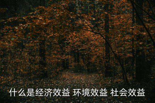 經濟收益，經濟利益和經濟效益的區別是什么