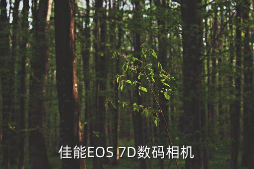 佳能EOS 7D數碼相機