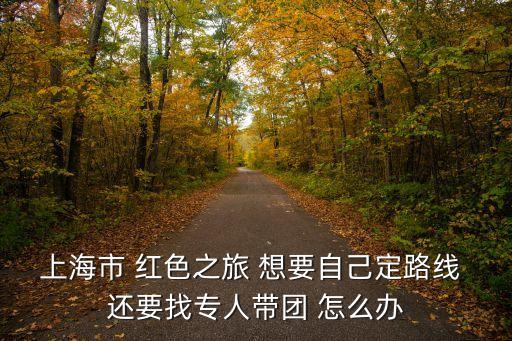 上海市 紅色之旅 想要自己定路線 還要找專人帶團 怎么辦