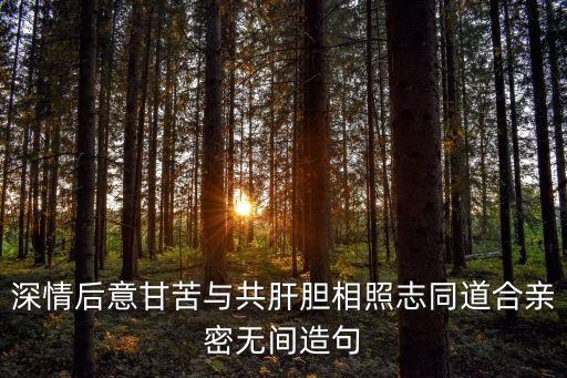 深情后意甘苦與共肝膽相照志同道合親密無間造句