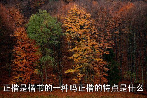 正楷是楷書的一種嗎正楷的特點是什么