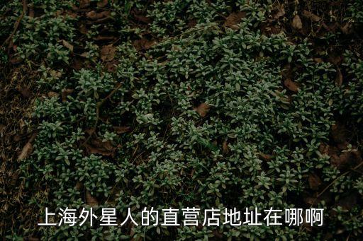 上海市紫藤路256號，上海外星人的直營店地址在哪啊
