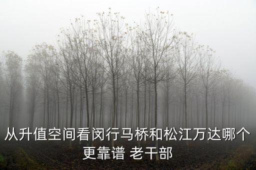 從升值空間看閔行馬橋和松江萬達哪個更靠譜 老干部