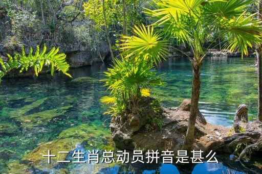 十二生肖總動員拼音是甚么