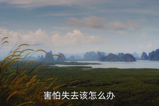 害怕失去，什么是 害怕失去