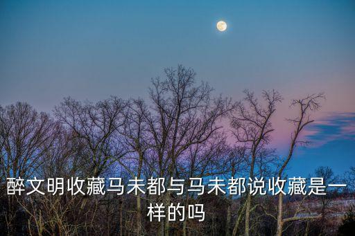 醉文明收藏馬未都與馬未都說收藏是一樣的嗎