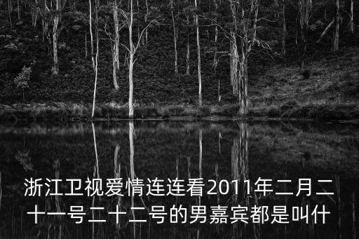 浙江衛(wèi)視愛情連連看2011年二月二十一號二十二號的男嘉賓都是叫什