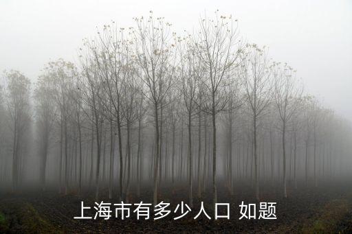 上海市有多少人口 如題