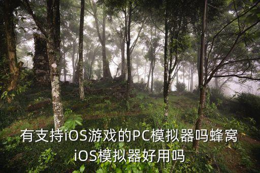 有支持iOS游戲的PC模擬器嗎蜂窩iOS模擬器好用嗎