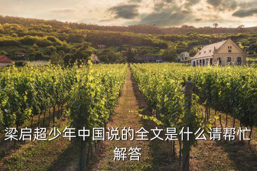 梁?jiǎn)⒊倌曛袊?guó)說的全文是什么請(qǐng)幫忙解答
