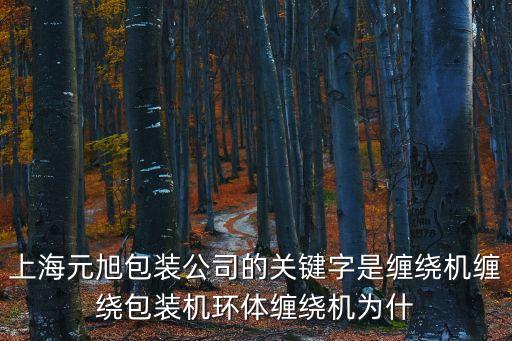 上海市纏繞膜包裝機，請問纏繞膜纏繞包裝機怎么翻譯