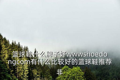 籃球鞋什么牌子好wwwshoedongcom有什么比較好的籃球鞋推薦非