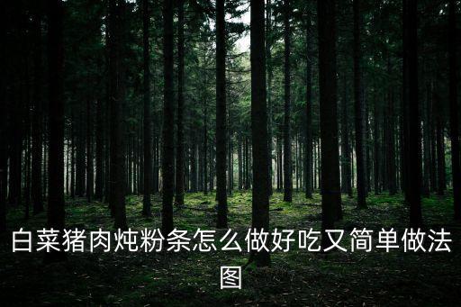 白菜豬肉燉粉條怎么做好吃又簡單做法圖