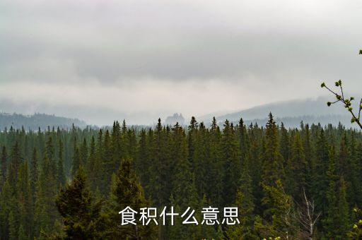 食積什么意思
