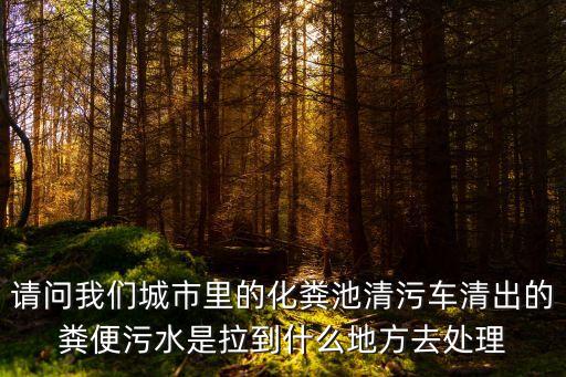 請問我們城市里的化糞池清污車清出的糞便污水是拉到什么地方去處理