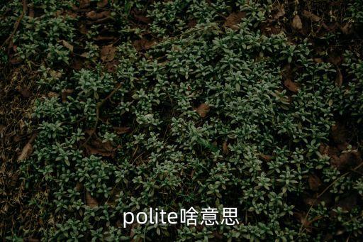 polite啥意思