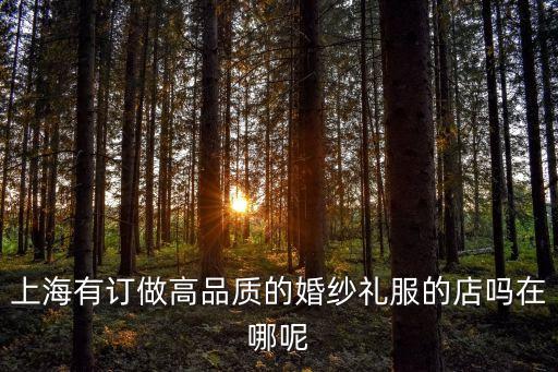 上海市商務禮服定制找哪家，上海禮服定制去哪里比較好