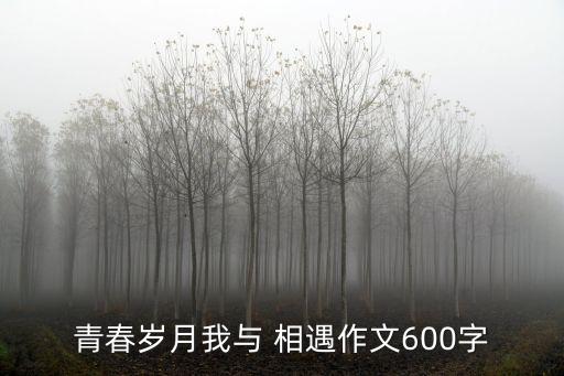 青春歲月我與 相遇作文600字