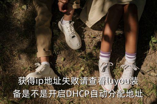 獲得ip地址失敗請查看luyou裝備是不是開啟DHCP自動分配地址