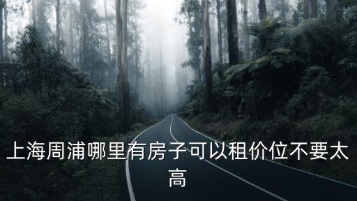 上海市浦東新區周浦鎮公租房小區，上海周浦哪里有房子可以租價位不要太高