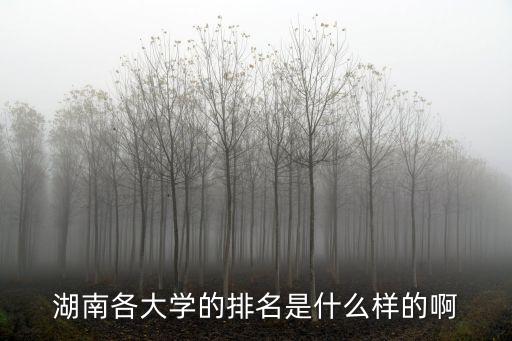 湖南各大學的排名是什么樣的啊