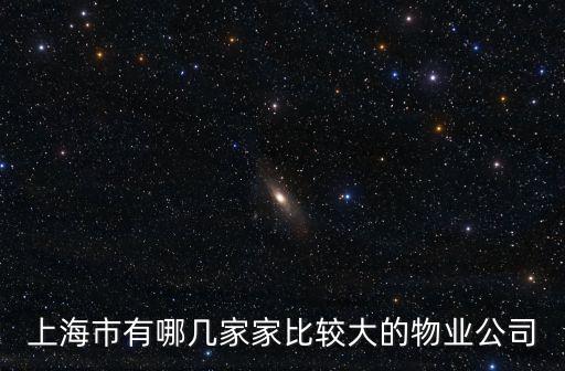 上海市有哪幾家家比較大的物業公司