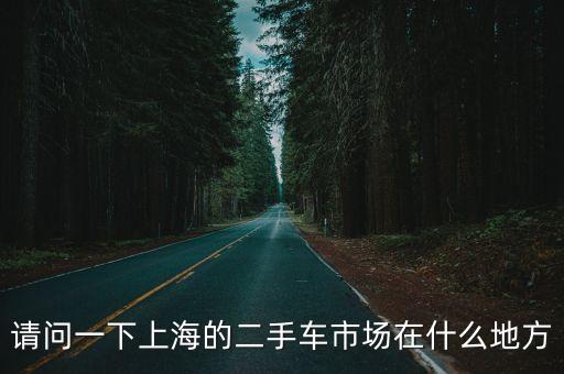 上海市眾泰二手車(chē)，請(qǐng)問(wèn)一下上海的二手車(chē)市場(chǎng)在什么地方