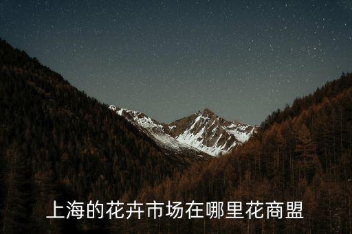 上海的花卉市場在哪里花商盟