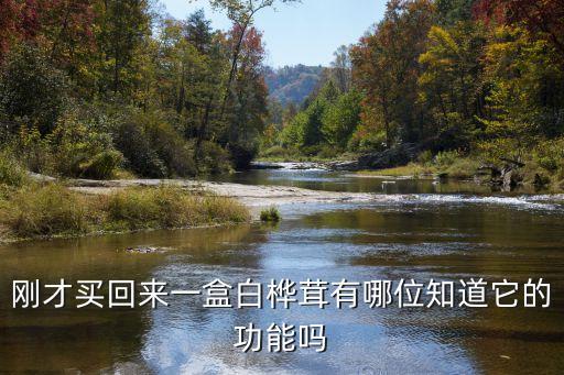 樺樹茸有什么作用，白樺茸對血糖有什么作用