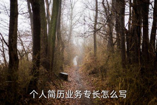 業務專長，怎么寫業務工作專長