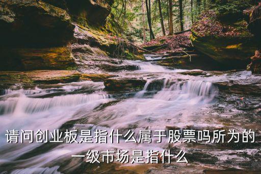 請問創業板是指什么屬于股票嗎所為的一級市場是指什么