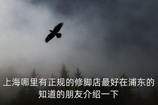 上海哪里有正規的修腳店最好在浦東的知道的朋友介紹一下
