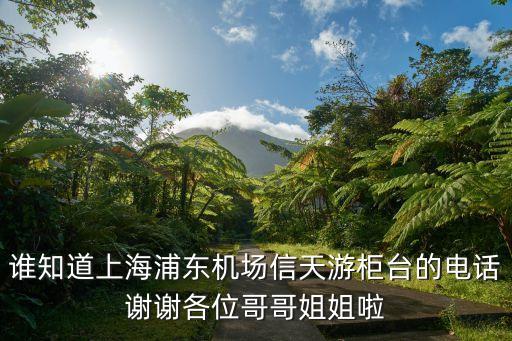 誰(shuí)知道上海浦東機(jī)場(chǎng)信天游柜臺(tái)的電話謝謝各位哥哥姐姐啦