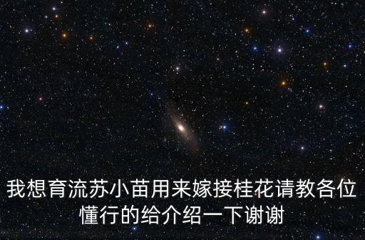 我想育流蘇小苗用來嫁接桂花請教各位懂行的給介紹一下謝謝