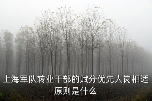 上海軍隊轉業干部的賦分優先人崗相適原則是什么