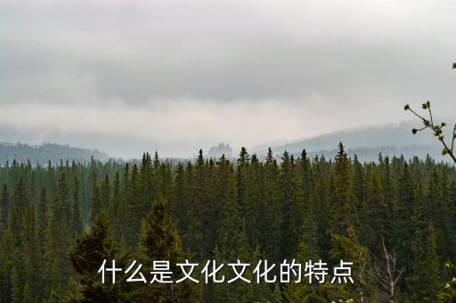 文化的特點，文化的特點