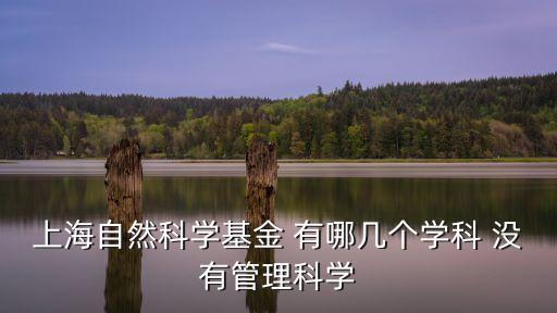 上海市自然基金與國基金，上海有名的基金公司